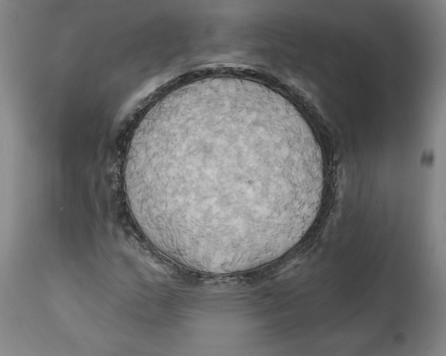 X0000110681159200907021903