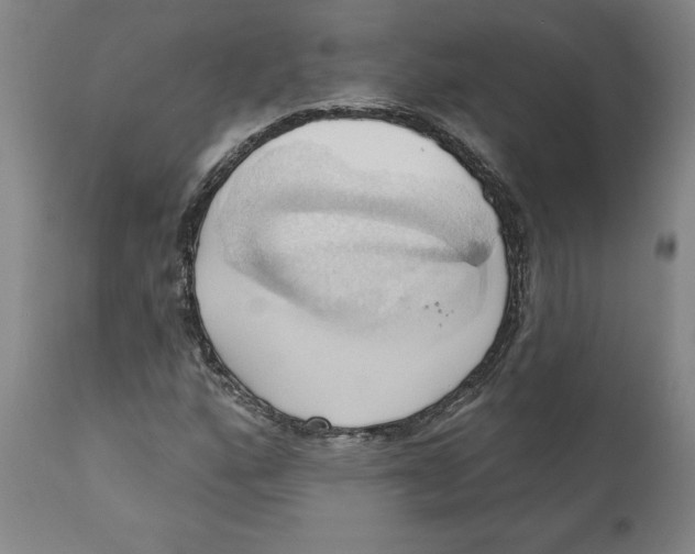 X0000110681160200907021903