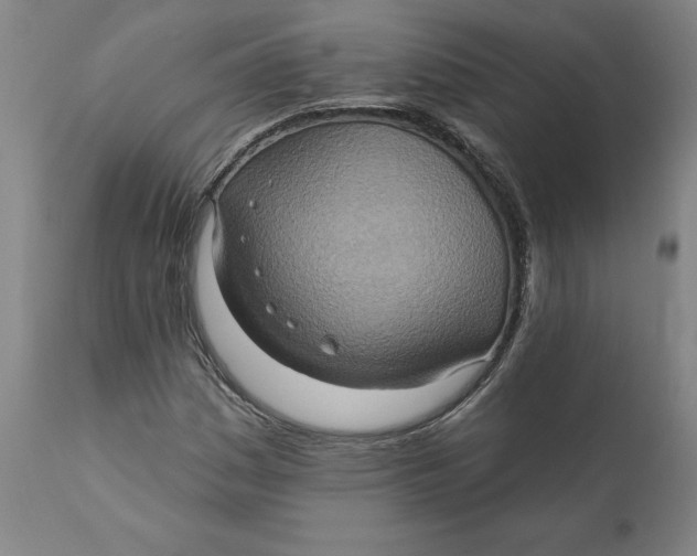 X0000110681161200907021903