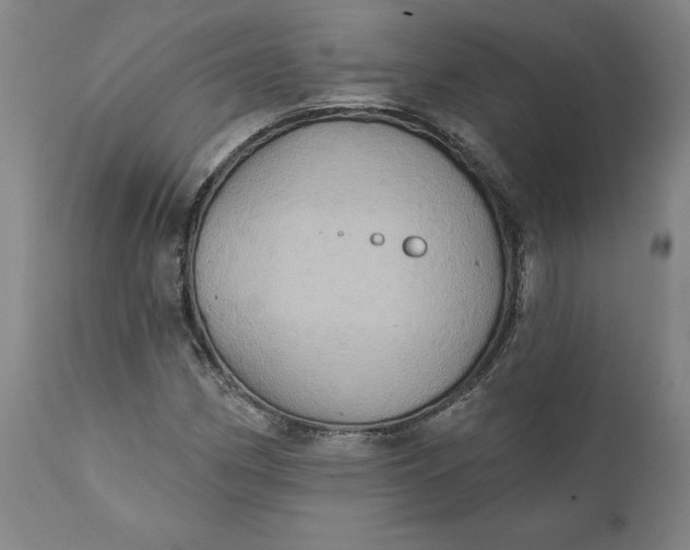 X0000110681162200907021903