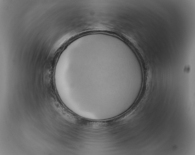 X0000110681163200907021903