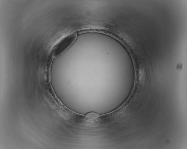 X0000110681165200907021903