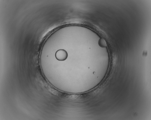 X0000110681166200907021903