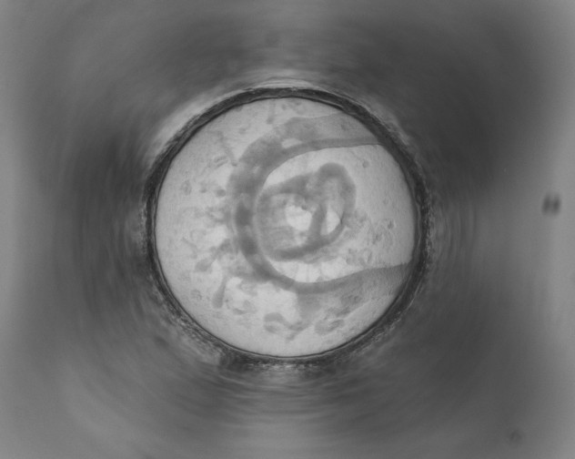 X0000110681167200907021903