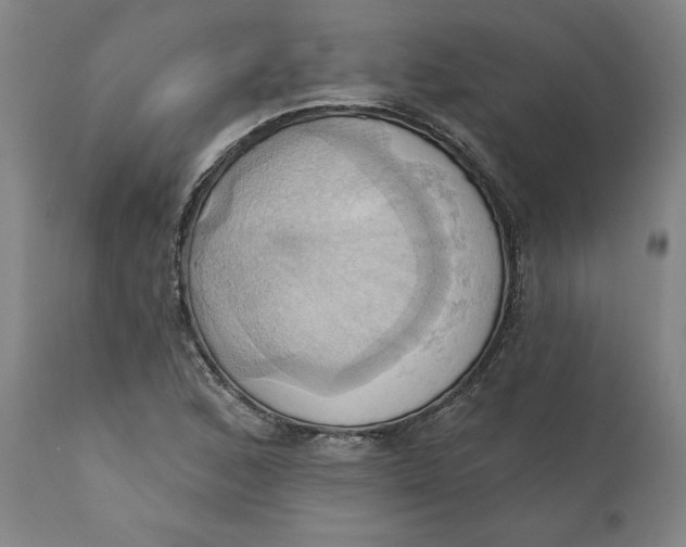 X0000110681168200907021903