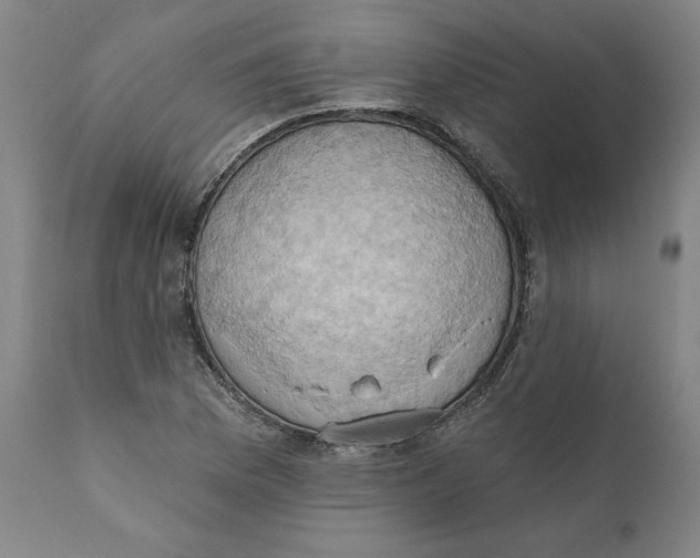 X0000110681169200907021903