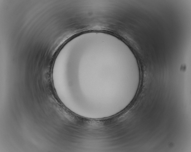 X0000110681170200907021903