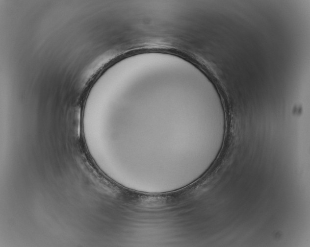 X0000110681171200907021903