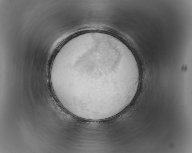 X0000110681172200907021903