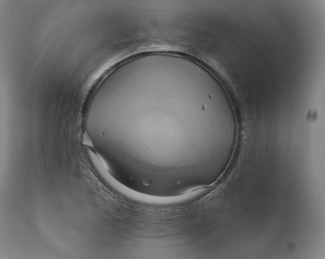 X0000110681173200907021903