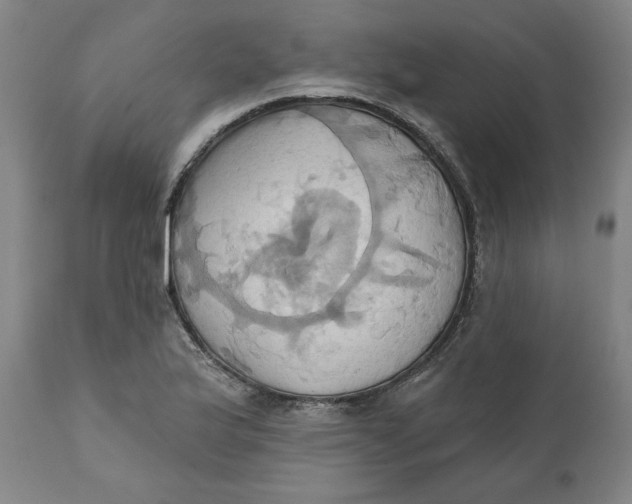 X0000110681175200907021903