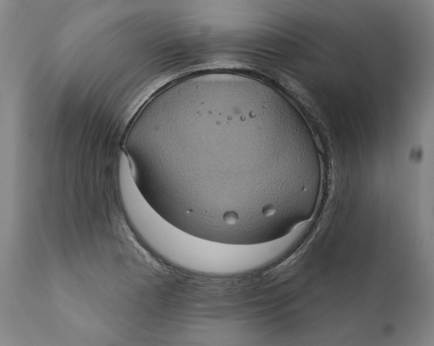 X0000110681177200907021903