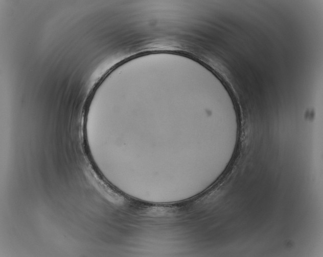 X0000110681179200907021903