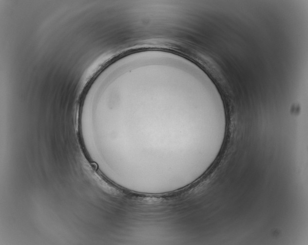 X0000110681180200907021903