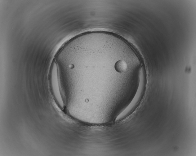 X0000110681181200907021903