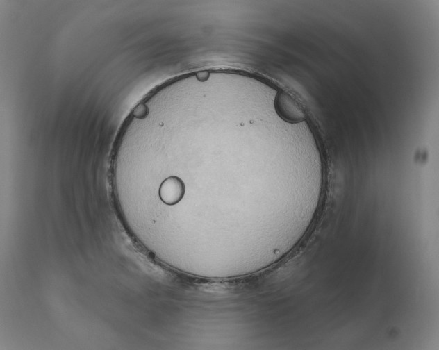 X0000110681182200907021903