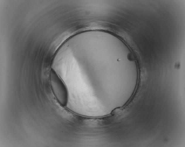 X0000110681185200907021903