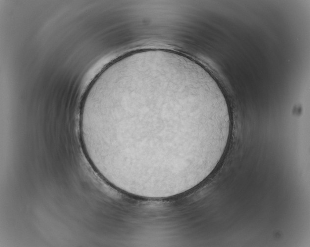 X0000110681188200907021903