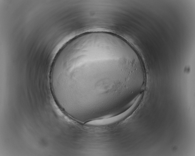 X0000110681189200907021903