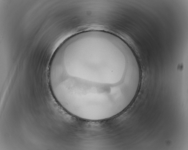 X0000110681190200907021903