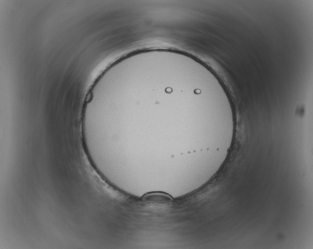 X0000110681191200907021903