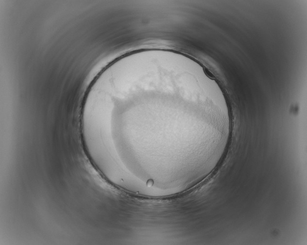 X0000110681192200907021903