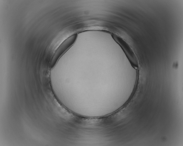 X0000110681193200907021903