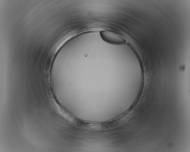 X0000110681194200907021903