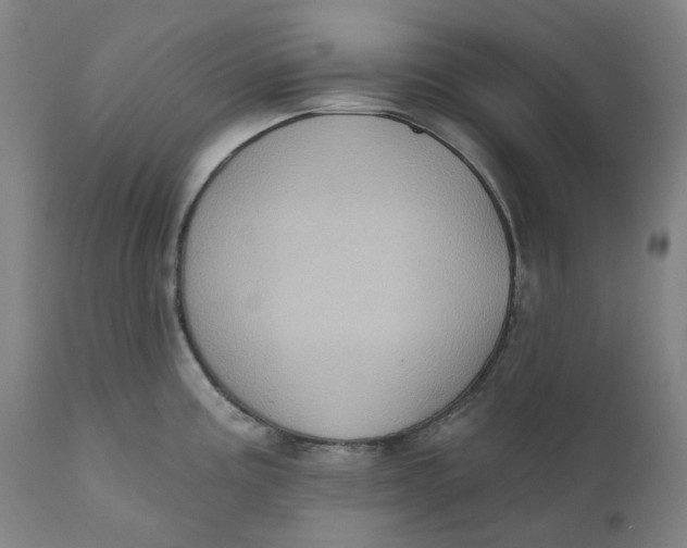 X0000110681195200907021903