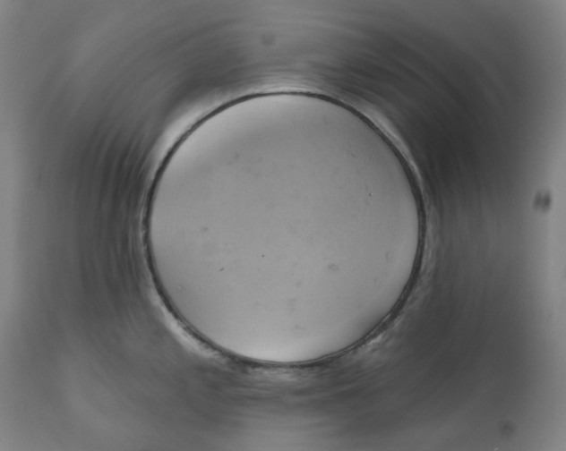 X0000110681197200907021903