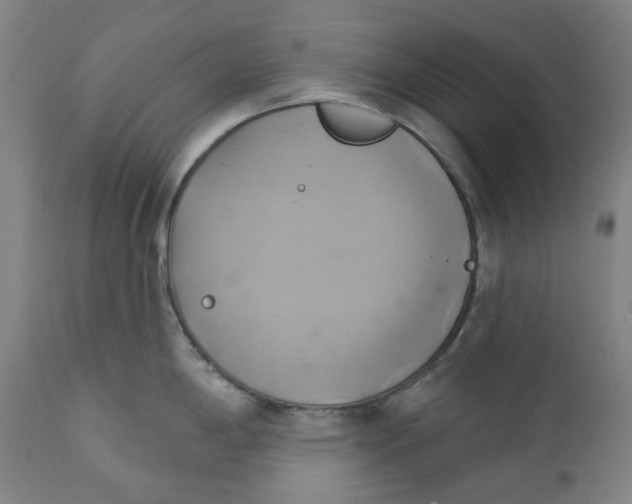 X0000110681198200907021903