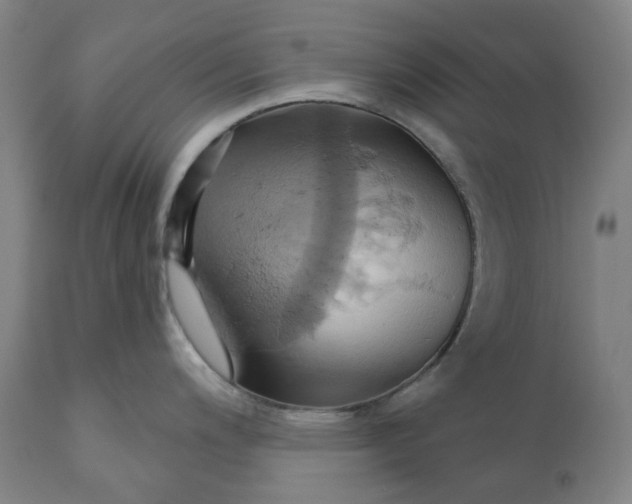 X0000110681200200907021903