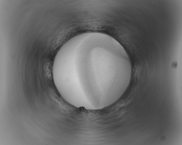 X0000110681202200907021902