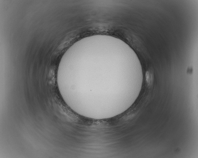 X0000110681203200907021902