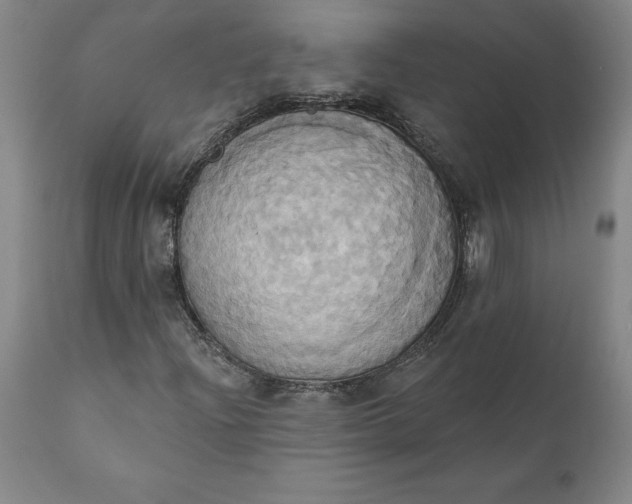 X0000110681204200907021902