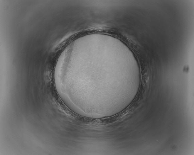 X0000110681206200907021902