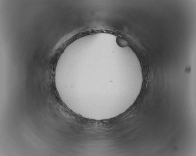 X0000110681207200907021902