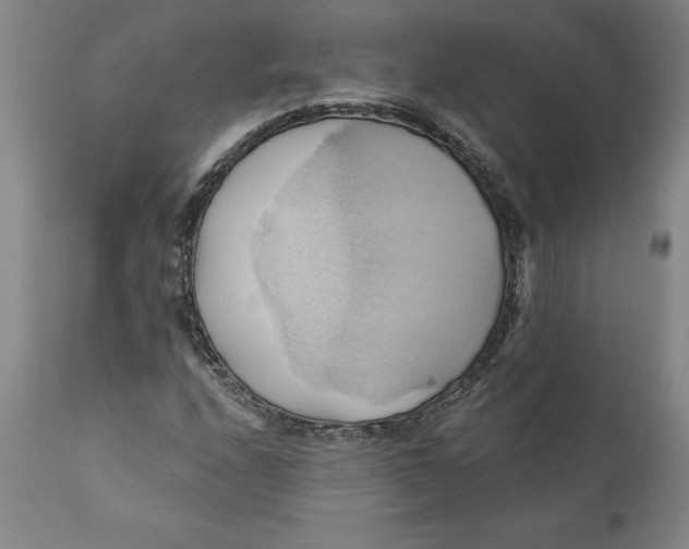 X0000110681208200907021902