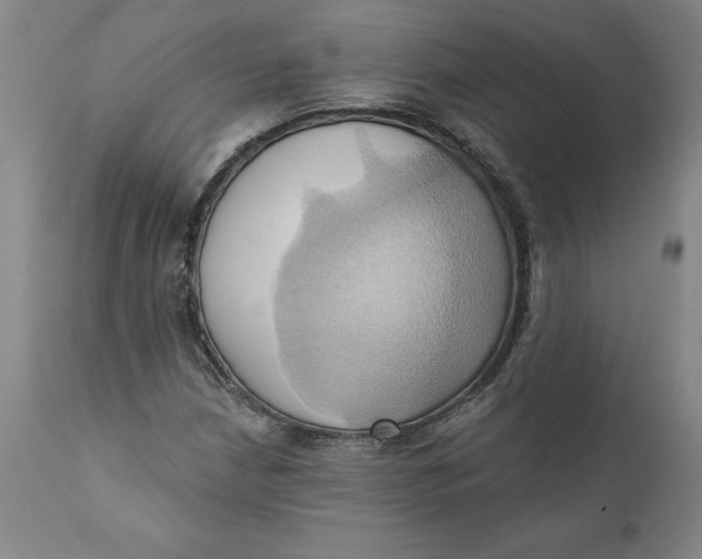 X0000110681210200907021902