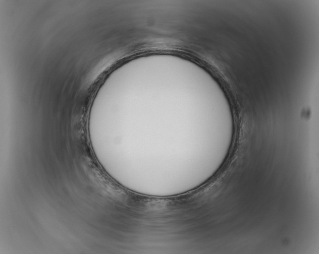 X0000110681211200907021902