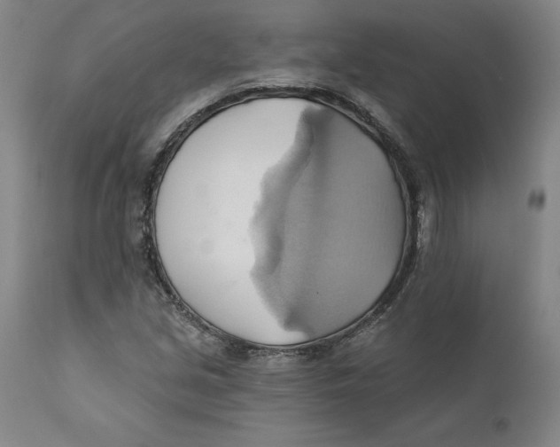 X0000110681213200907021902