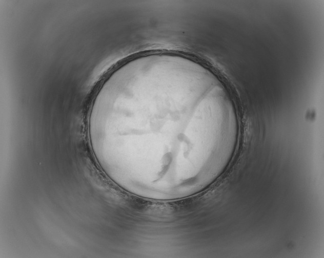 X0000110681215200907021902