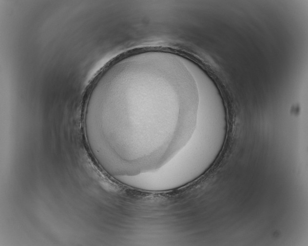 X0000110681216200907021902