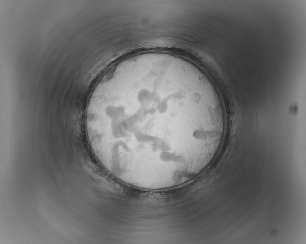 X0000110681217200907021902