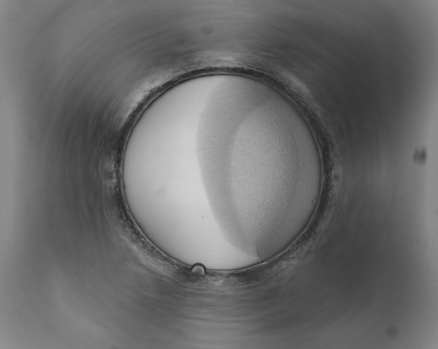 X0000110681218200907021902