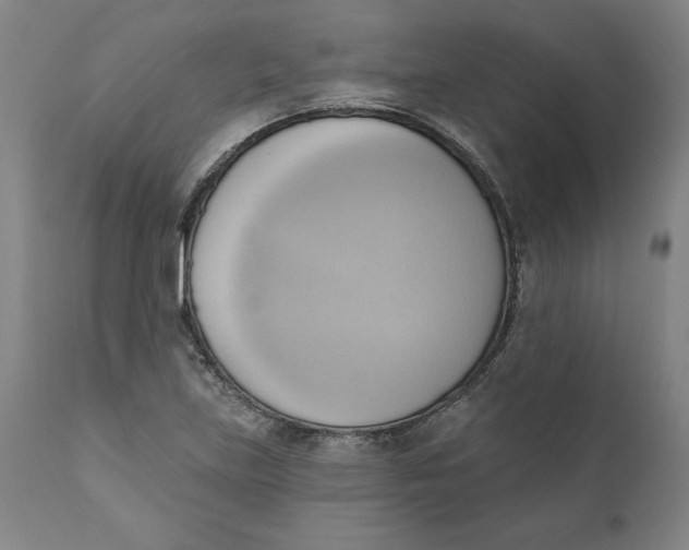 X0000110681219200907021902