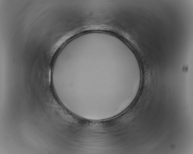 X0000110681221200907021902