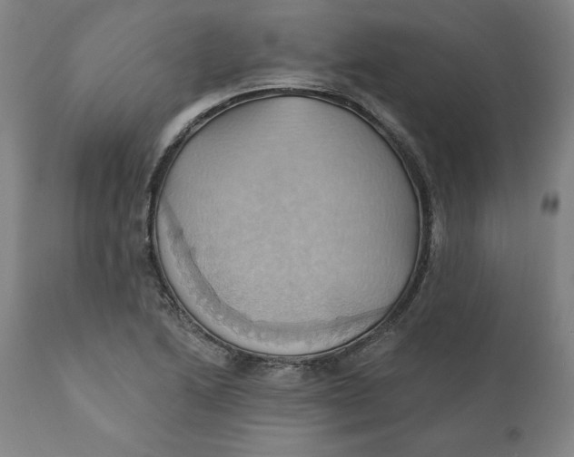 X0000110681222200907021902