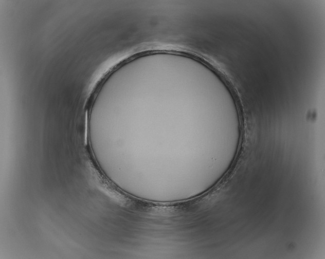 X0000110681223200907021902