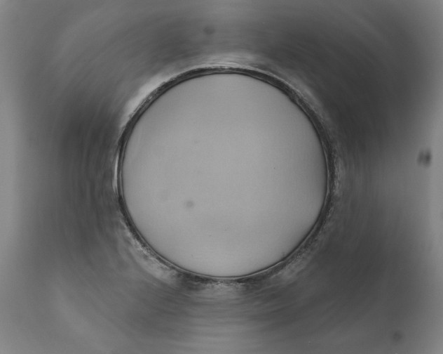 X0000110681224200907021902